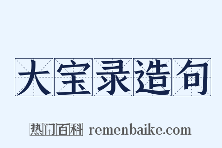 大宝录造句是什么意思的图片